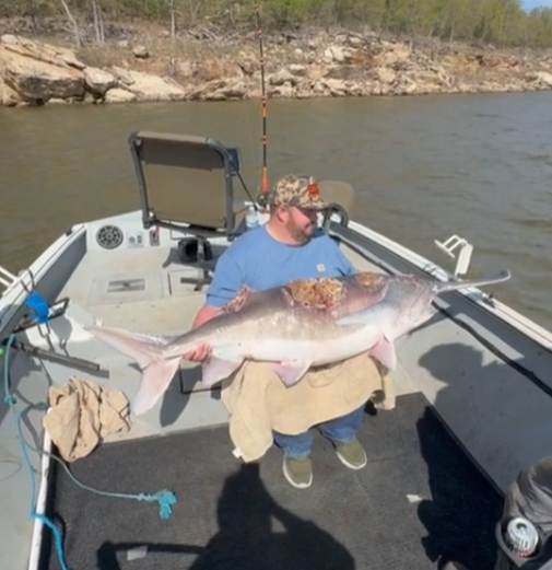    Скриншот видео Jam Press