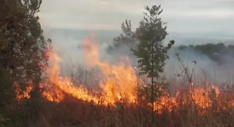     На севере Красноярского края 5 мая вводят особый противопожарный режим