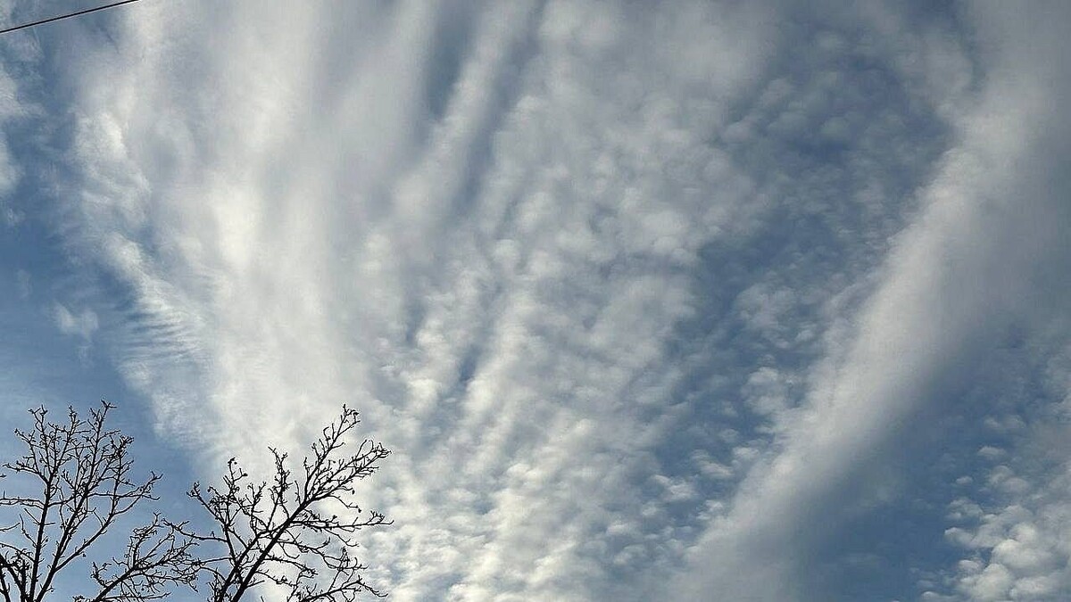    Фото: телеканал «Краснодар»