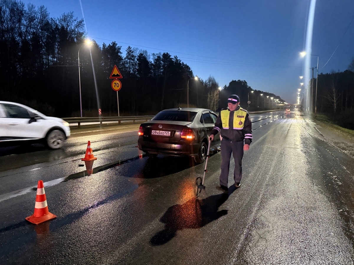 Фото: Госавтоинспекция Свердловской области  📷

