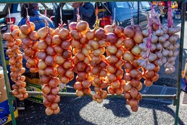 Лук как на дрожжах: настой, от которого перья зеленеют, а луковицы наливаются  📷
