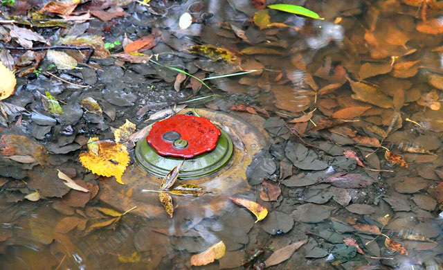 ТМ-62М в луже, грязи и листьях на лесной дороге (фото из открытых источников)