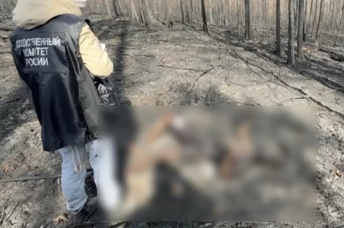    СК показал место гибели трех пожарных в Тунгокоченском округе