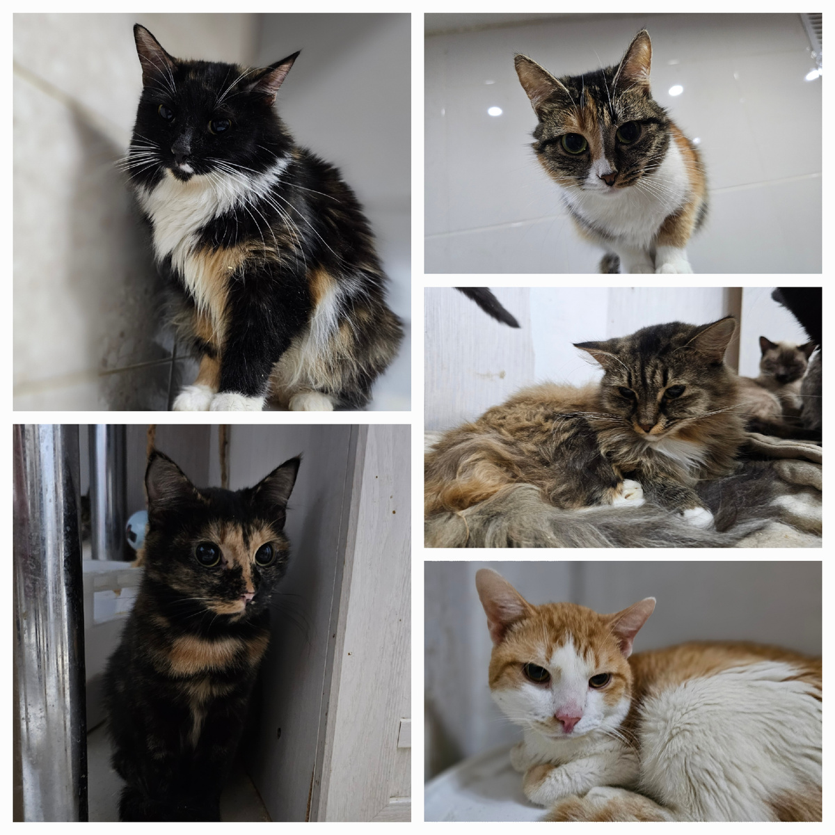 Им очень нужно сдать анализы