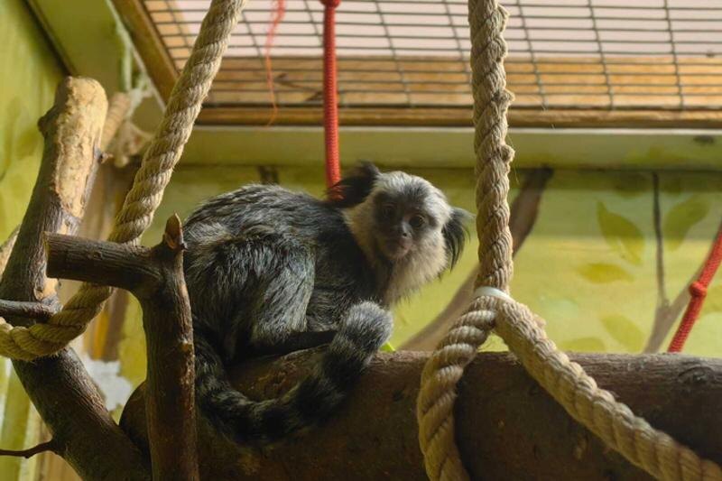    Фото: страница зоопарка во "ВКонтакте"