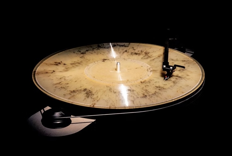 Фото с сайта andvinyly.com