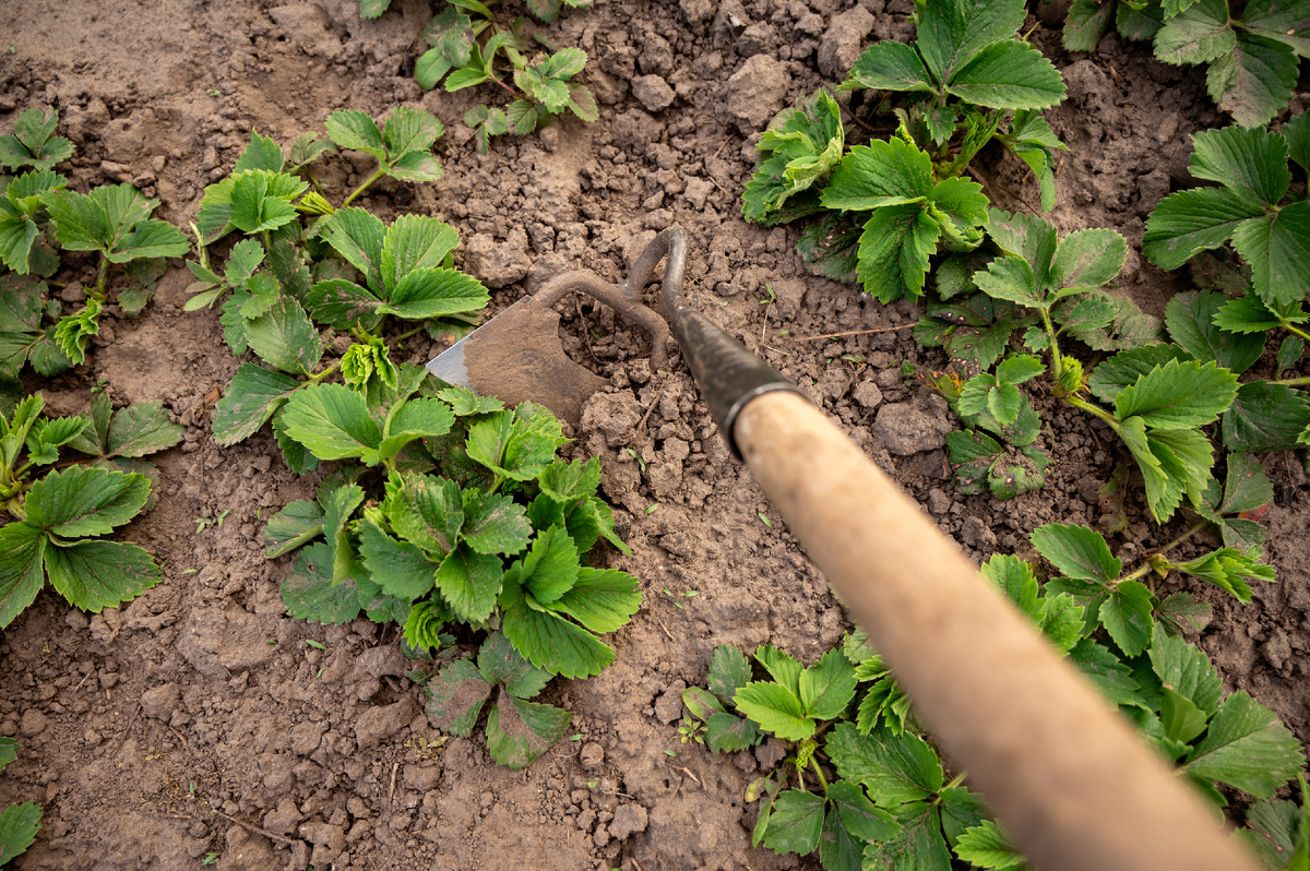 Designed by Freepik. Источник: www.freepik.com