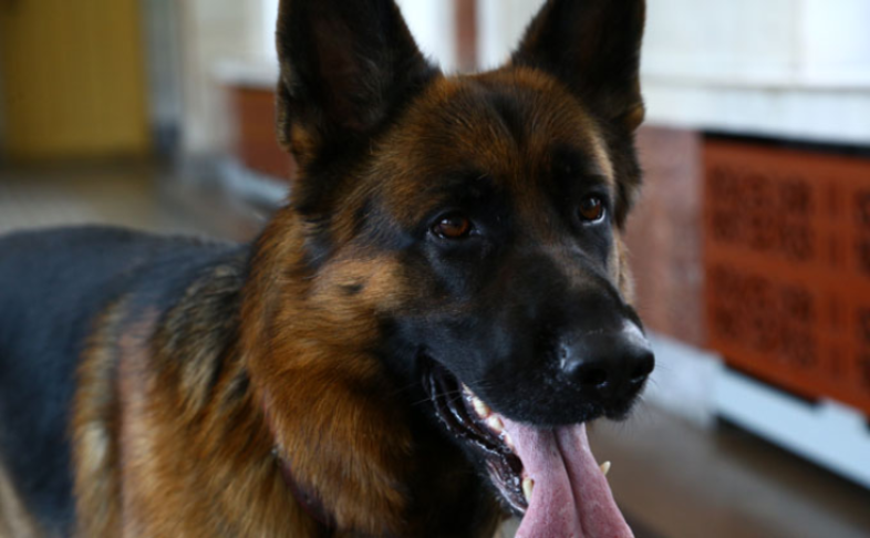    Фото из архива VN.ru