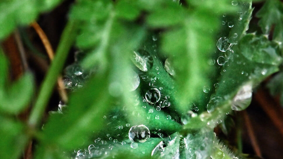 Фото: Анна Акельева / Коммерсантъ