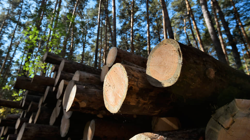 Фото: Влад Некрасов / Коммерсантъ