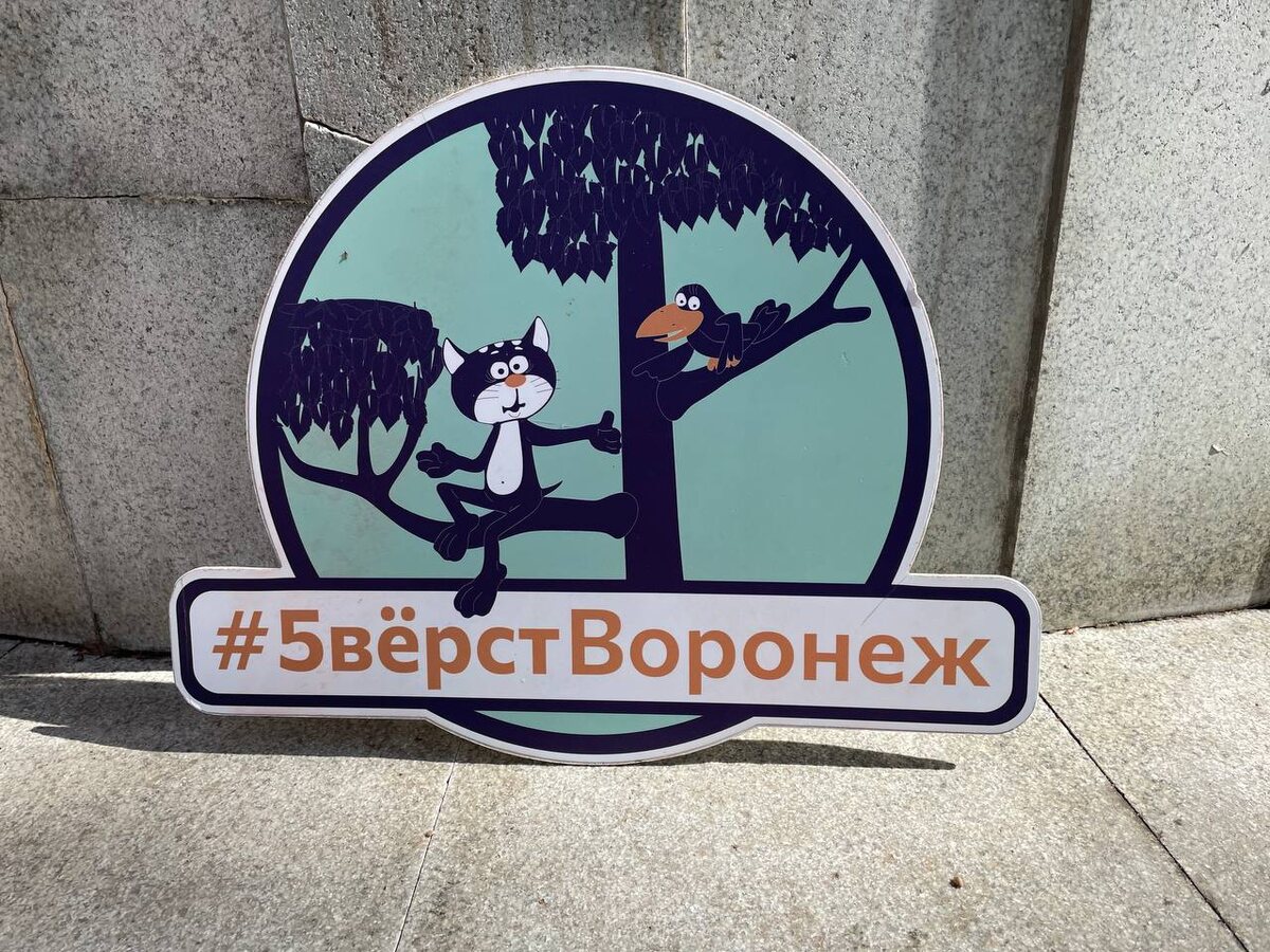 Атрибут для фото с Котёнком с улицы Лизюкова