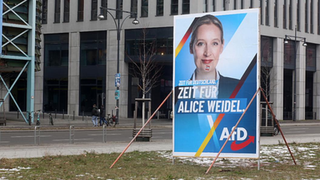    Фото: © Liam Cleary/Globallookpress