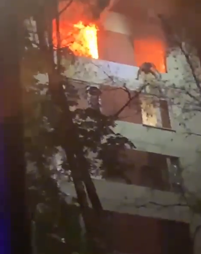    Фото: Скриншот