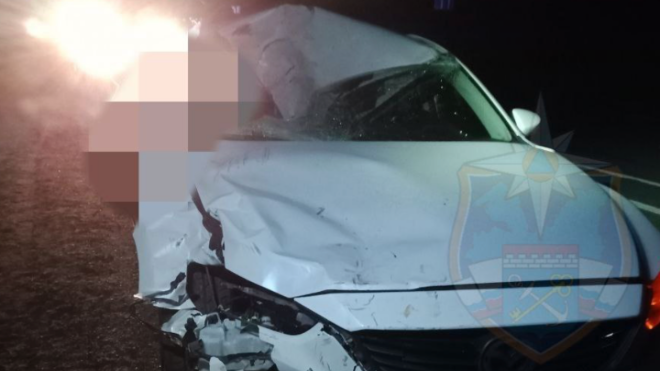 Фото: Аварийно-спасательная служба Ленинградской области