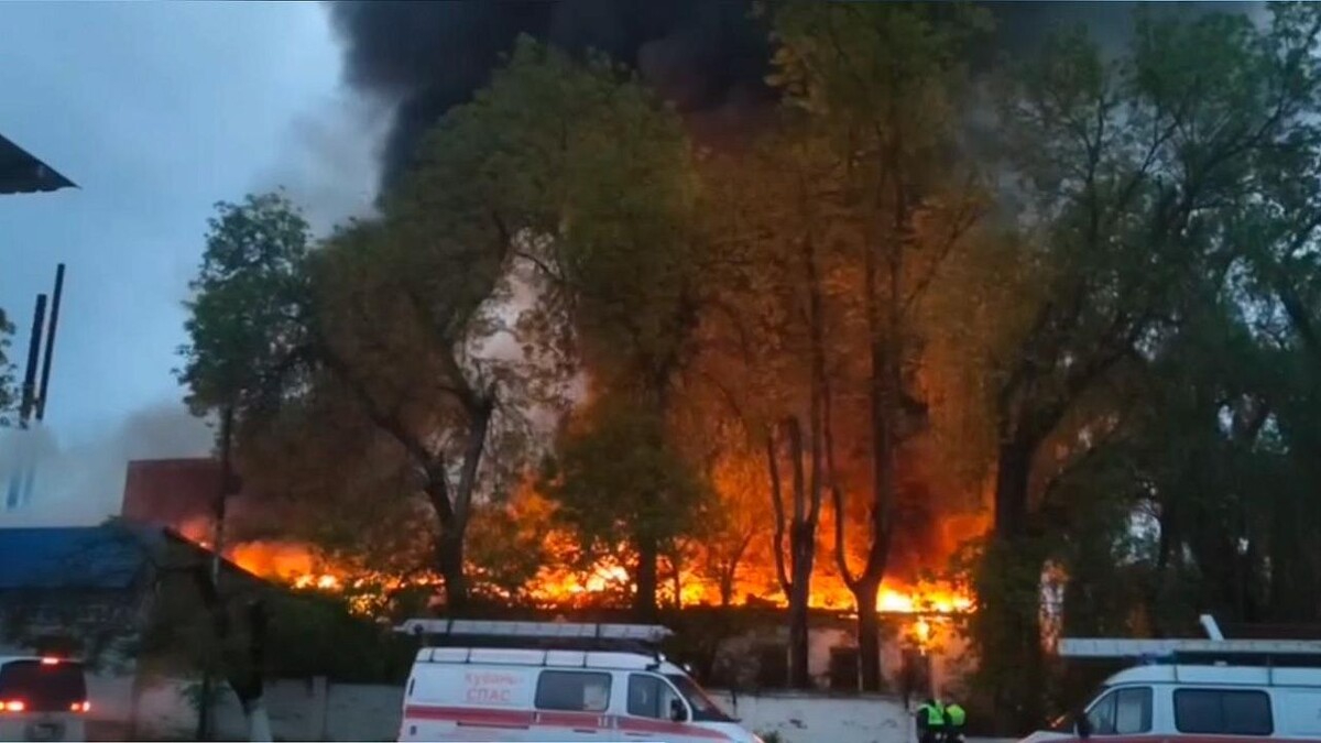    Фото: t.me/tipich_apsheronsk