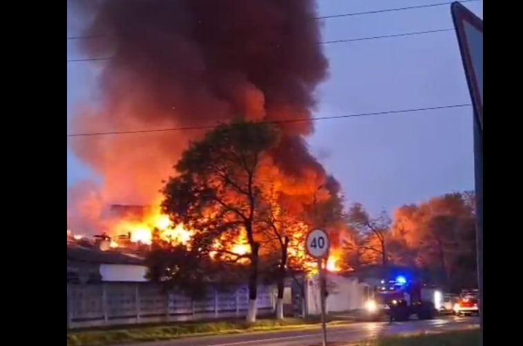    Фото: соцсети