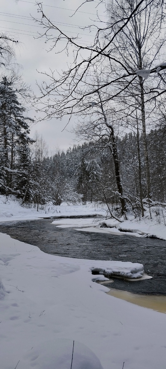 Река Волчья