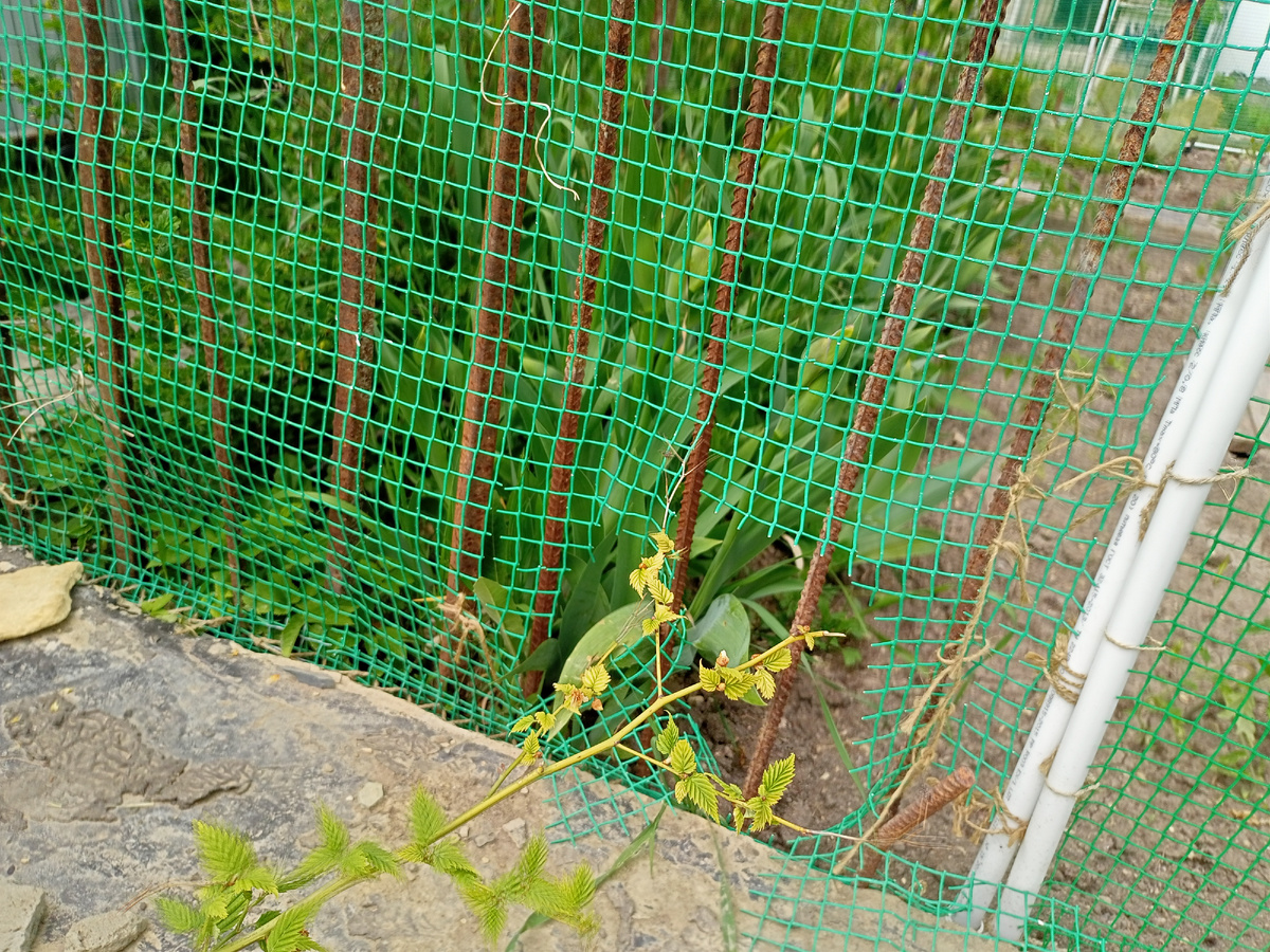 Еще рваный забор