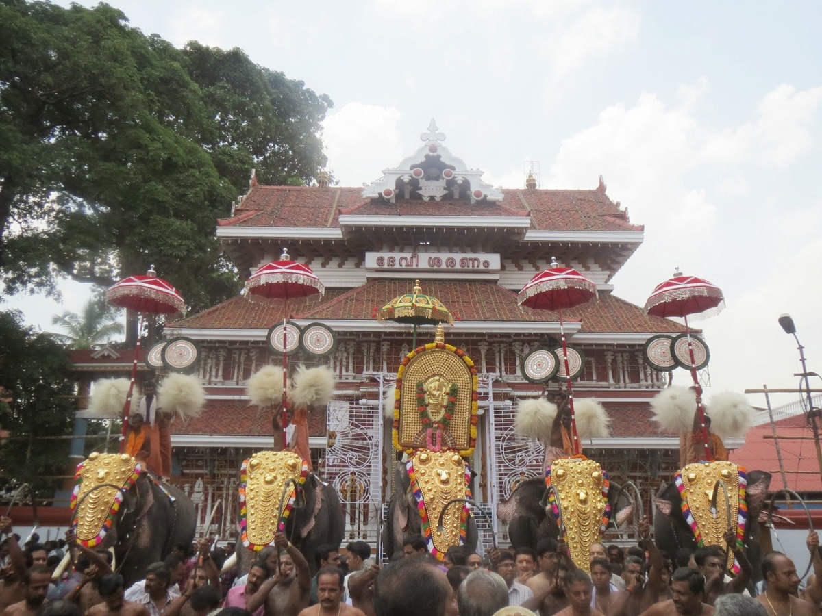 Украшенные слоны готовы к празднику Триссур Пурам