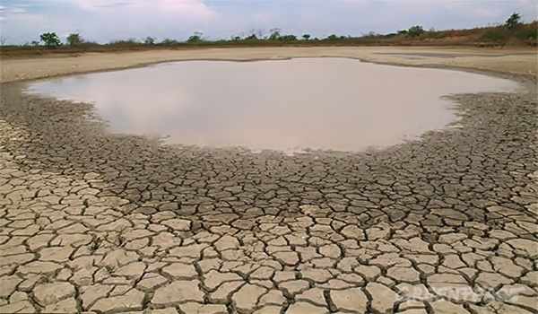 Почему в последнее время мелеют водоёмы?