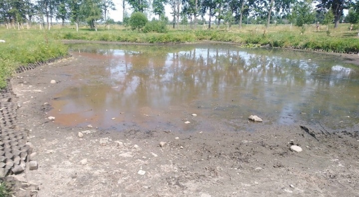 Какие ещё последствия у высыхания водоемов?