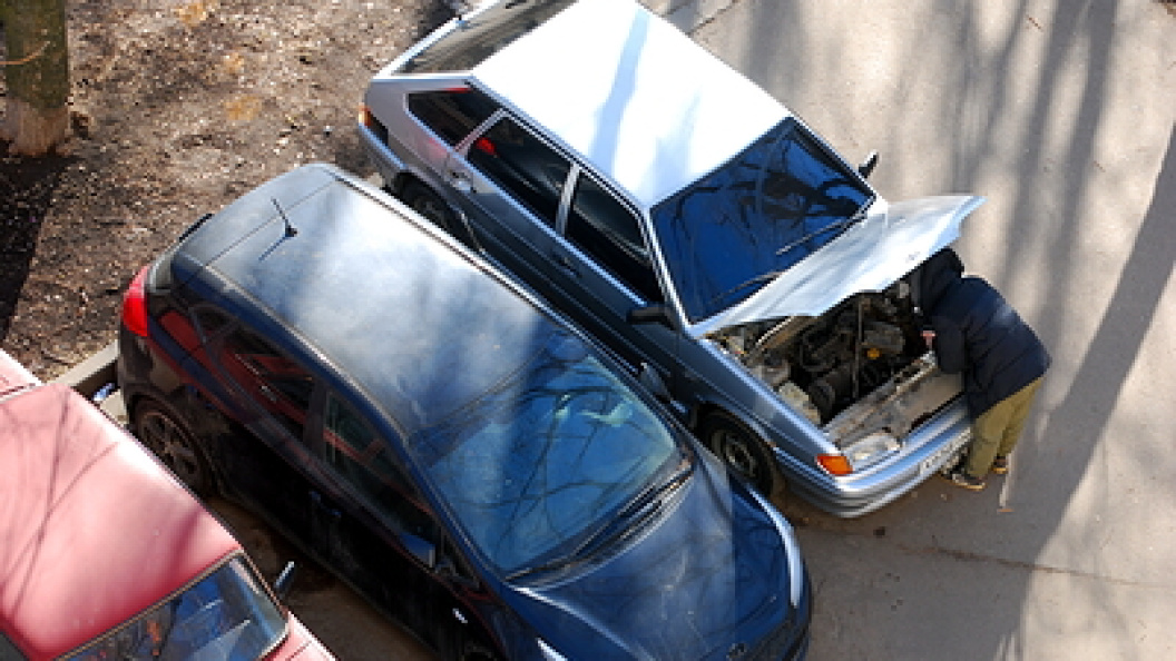    фото: Alexander Legky/Globallookpress