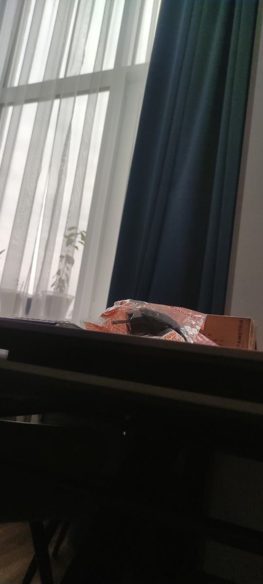 Это наша розетка!