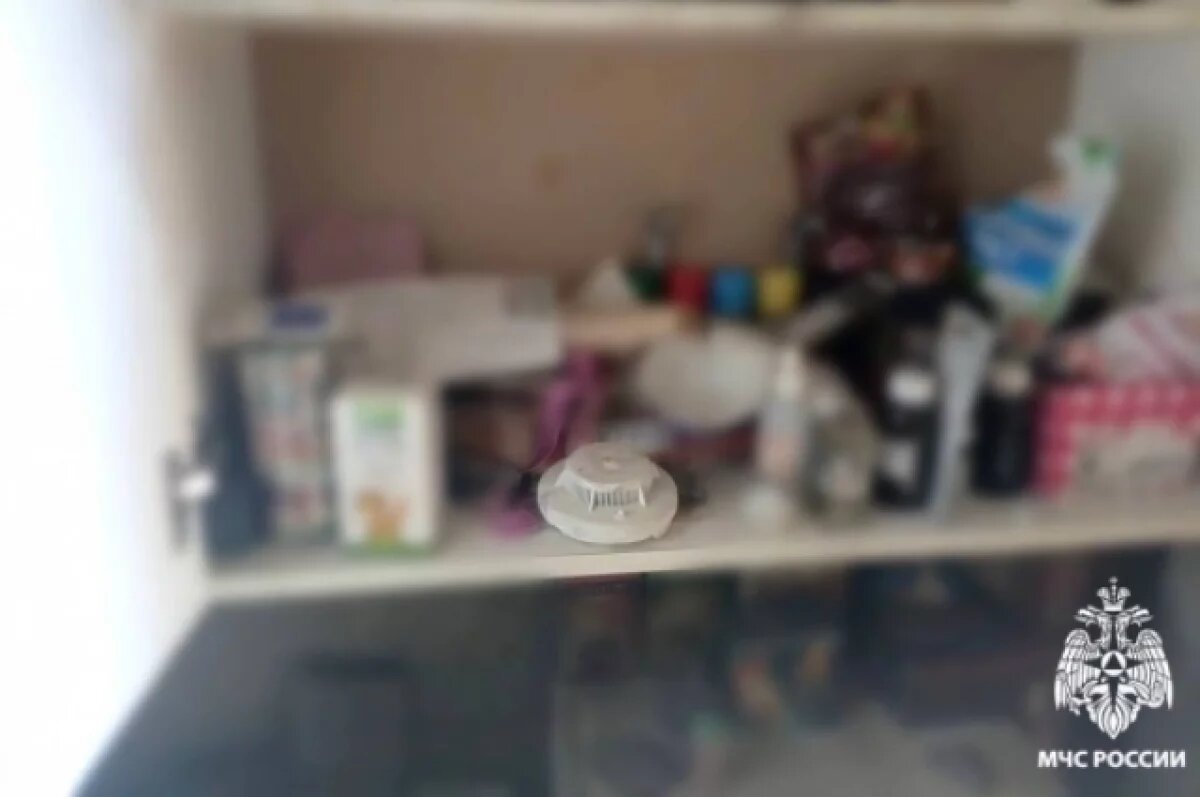    Маленькая девочка спасла двух братьев из пожара в доме под Новосибирском