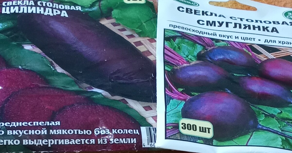 Агросемфонд, Воронеж.