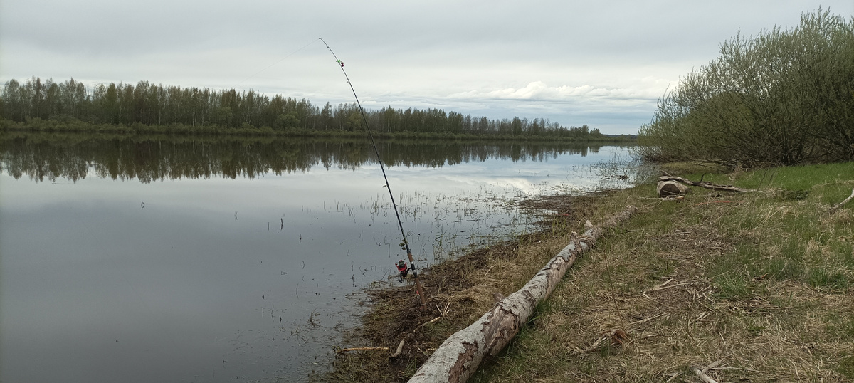 Фото моего выхода на речку