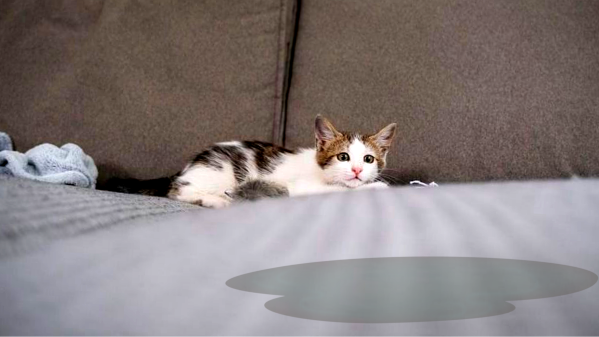 Я не со зла, поверь...