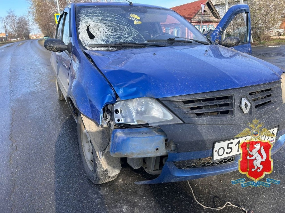 Фото: Госавтоинспекция Свердловской области  📷
