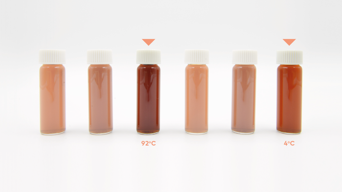 Третий флакон слева — кофе темной обжарки, который заварили горячей водой; шестой флакон слева — кофе той же степени обжарки, но заваренный холодной водой. © sca.coffee