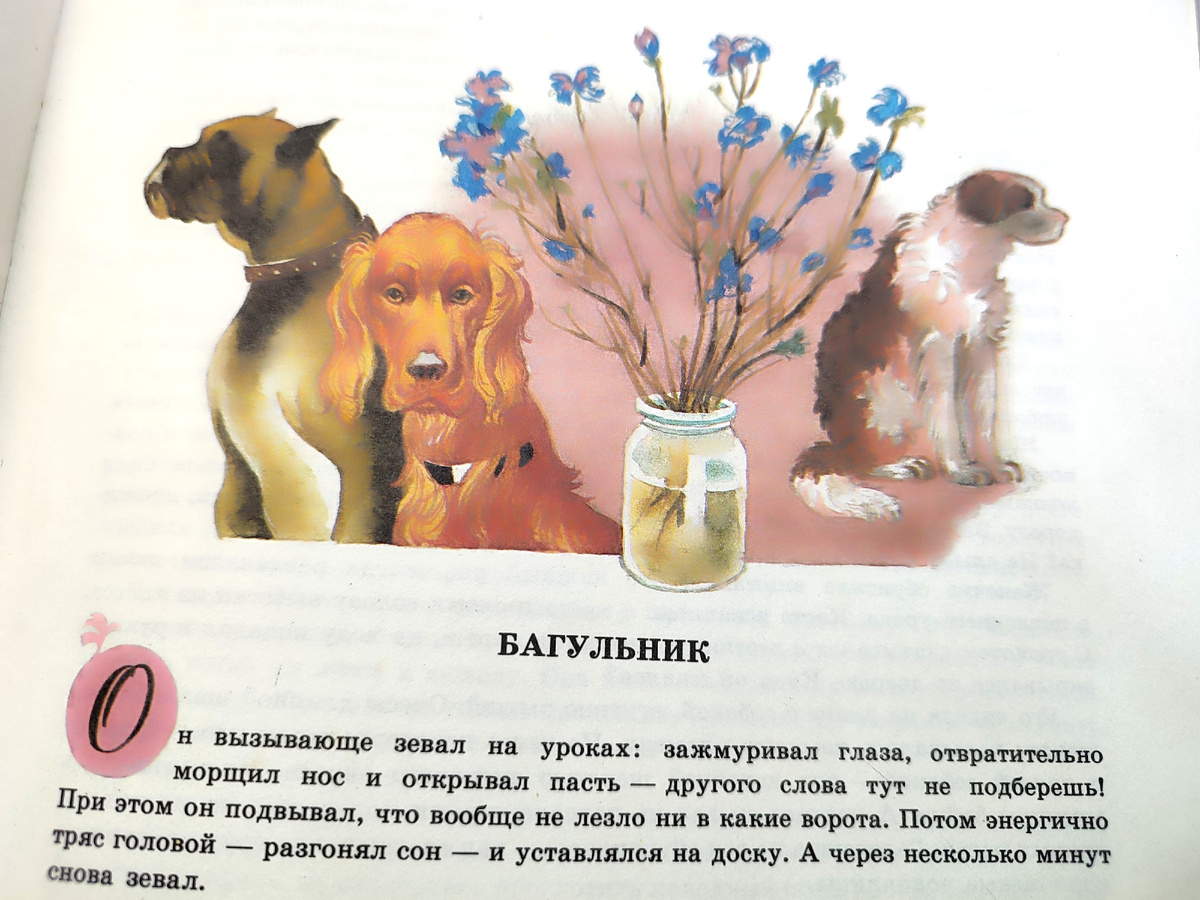 Иллюстрация в книге