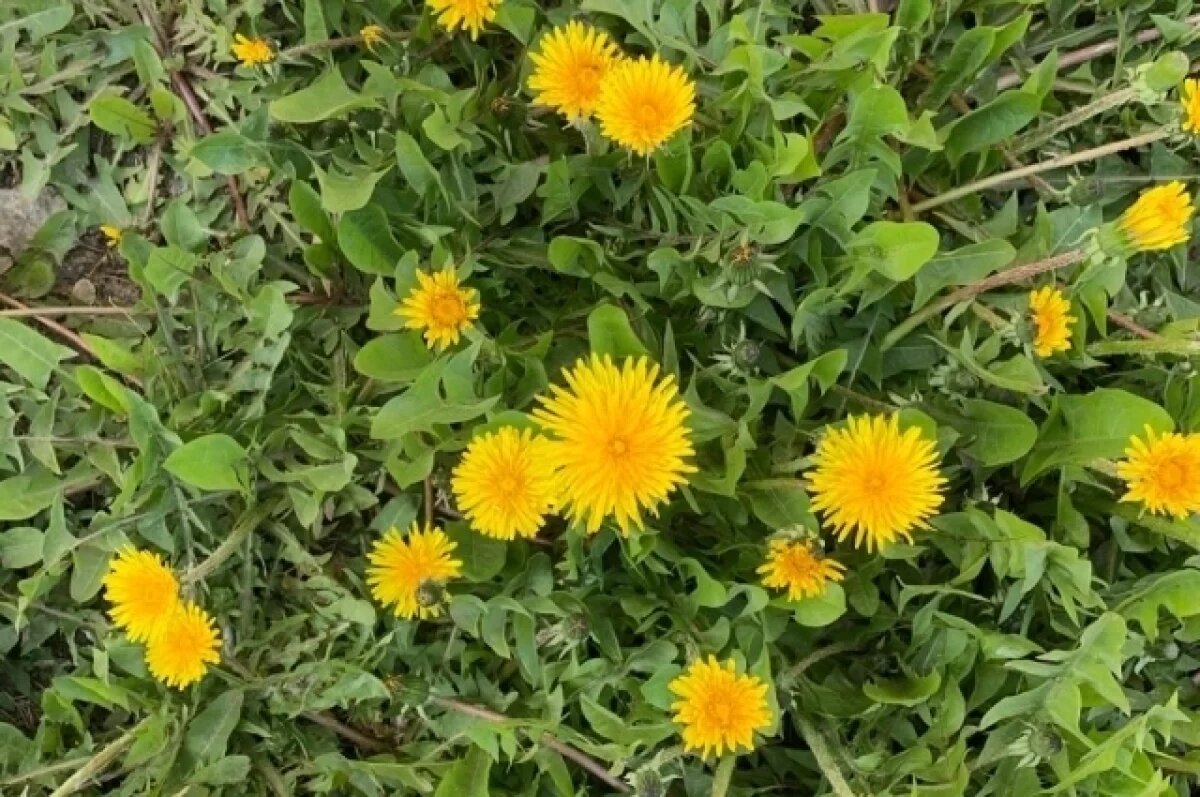    В Крыму 5 мая потеплеет до +24 градусов