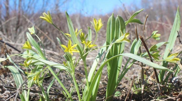 Фото: Елена Гусева