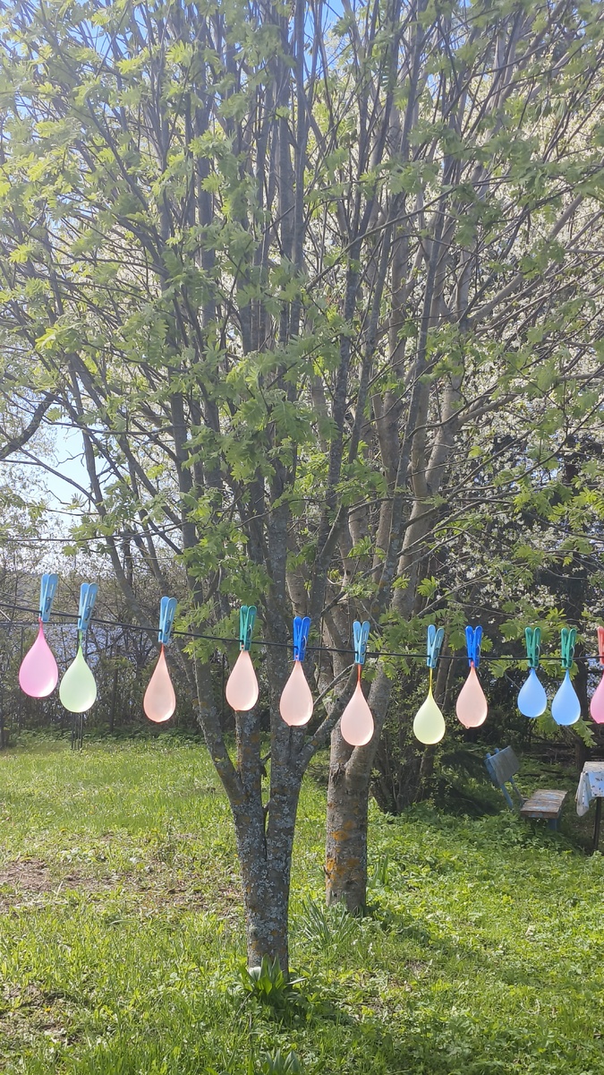 Дети наполнили шарики водой. Кидаться ими было холодно, что делать дальше не могили придумать... повесили на прищепки