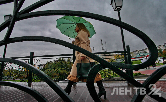    © Анастасия Илюшина для ЛенТВ24