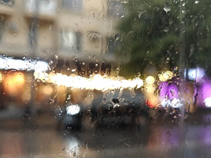    Фото: Юрий Серебренников/BFM Кубань