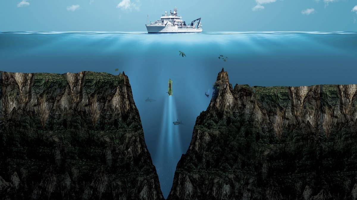    Фото: Shutterstock