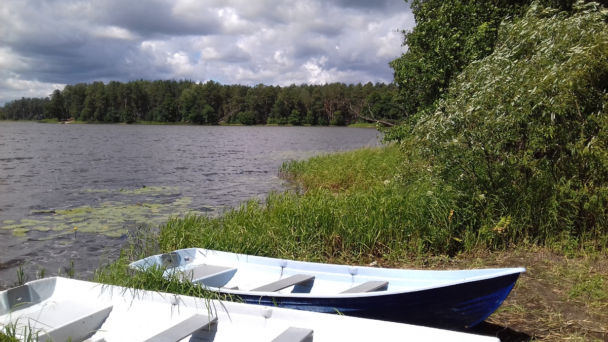 Пустынский участок национального парка "Нижегородское Поволжье" им. В.А. Лебедева. Фото: Андрей Георгиев