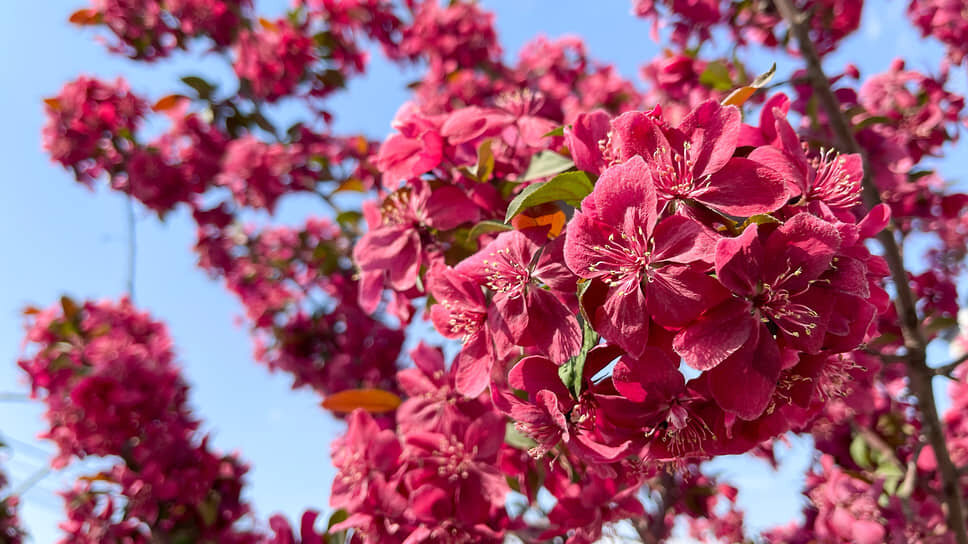 Фото: Игорь Елисеев / Коммерсантъ