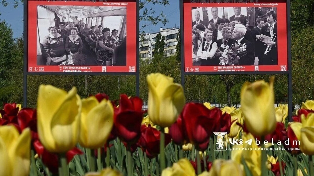     Источник: мэрия Белгорода