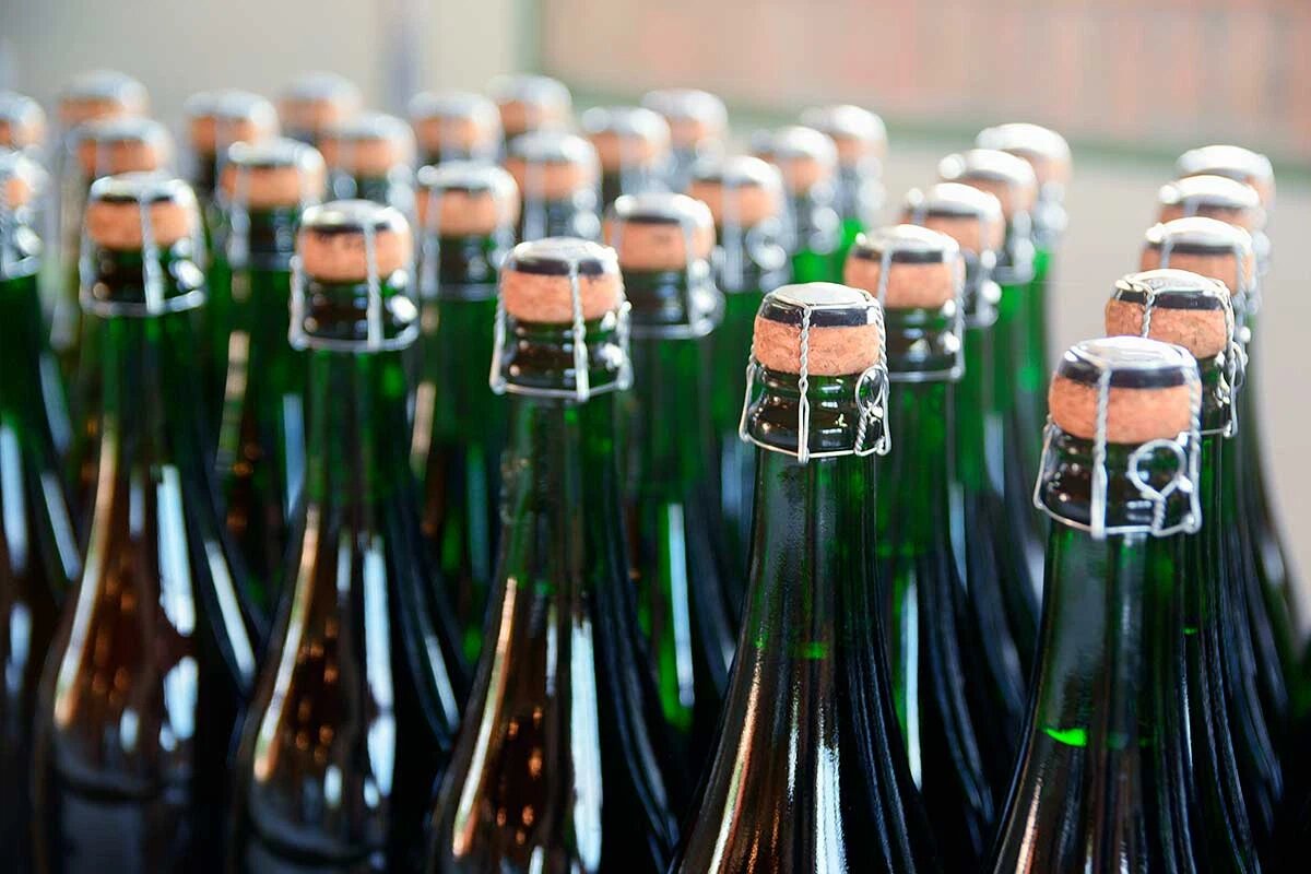    Фото: Juan Ci / Shutterstock.com