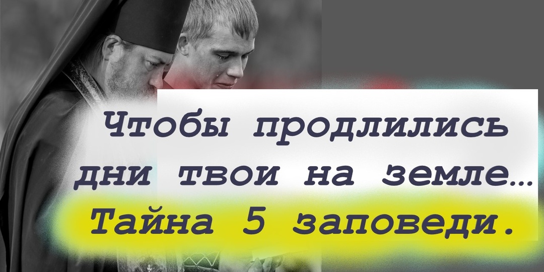 Родителей почитать – не смотря на то, что пили, не смотря на то, что дрались, не смотря на их эгоизм?