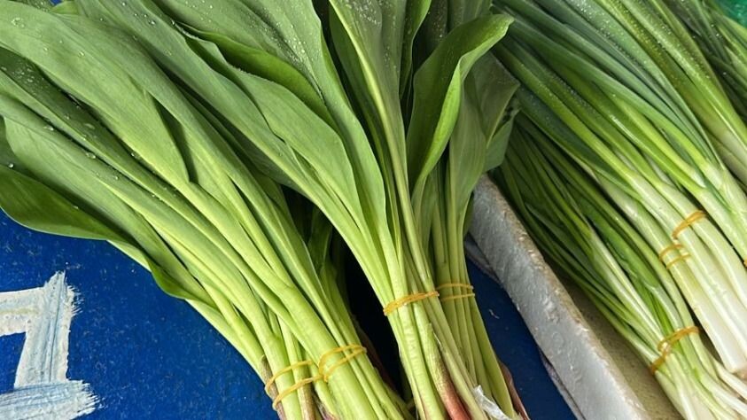     Источник: vostokmedia.com