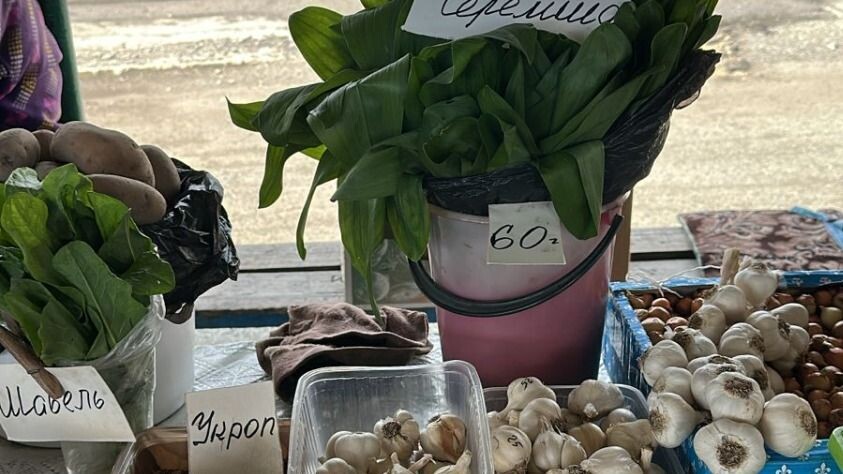     Источник: vostokmedia.com