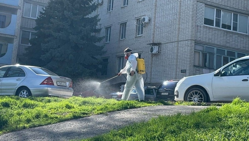      Фото: администрация Ставрополя