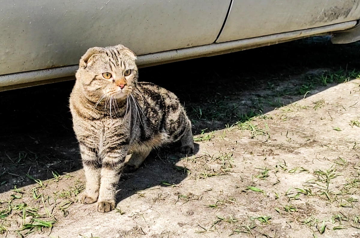 Что там? Непонятно)