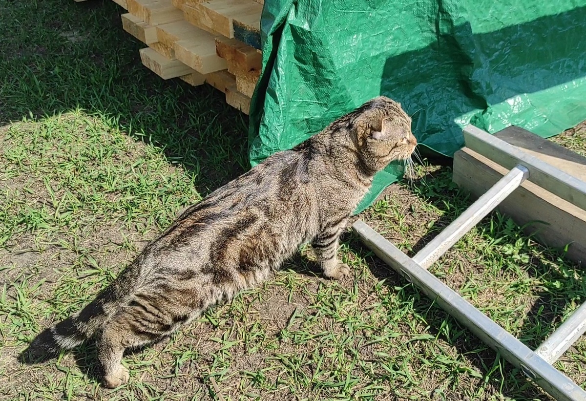 Путь к бытовке.